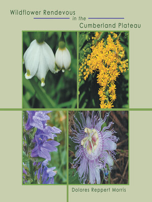cover image of Wildflower Rendevous in the Cumberland Plateau